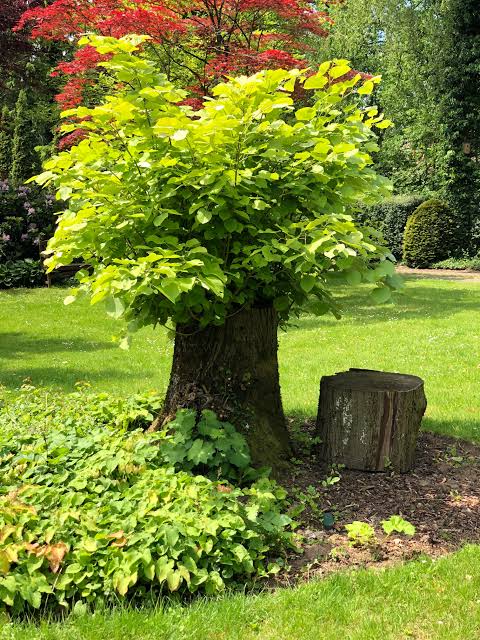 WHERE CAN I FIND THE TRUE PURPOSE OF MY LIFE?